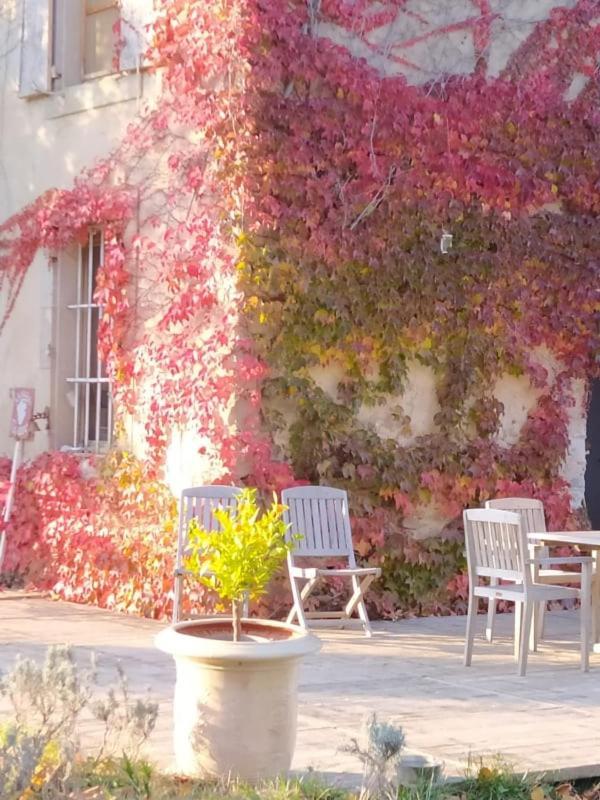 Appartement Les Amis de Gaure à Rouffiac-d'Aude Extérieur photo